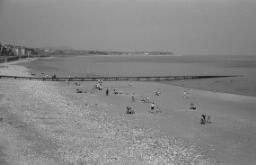 Image thumbnail