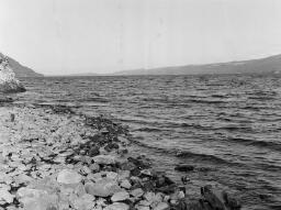 Image thumbnail